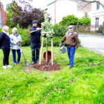 Baum des Jahres 2024 in Forst gepflanzt