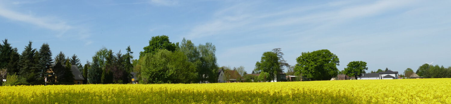 "Schlaugks Eckchen"