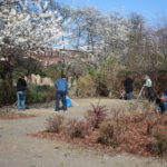 Forst putzt sich heraus
