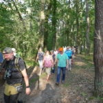 Forster wandern auf den Spuren des Wolfes und beko...