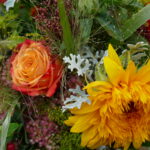 Bunt wie der Herbst präsentierte sich der Rosengar...