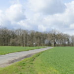 Der geheimnisvolle Mückenhain im Forster Norden