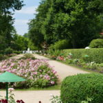 Forst feiert sich und die Rosen