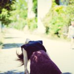 „Tanz weit draußen“ – zeitgenössischer Tanz in der...