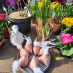 Am 26. April 2024 in der Forster Innenstadt: Bunde...