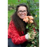 Rosenschnitt im Frühjahr - Das Rosenseminar für Ho...