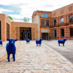 Forster Museum wird Ausstellungsort der 1. openart...