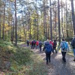 Historischer Park trifft wilde Natur – Herbstwande...